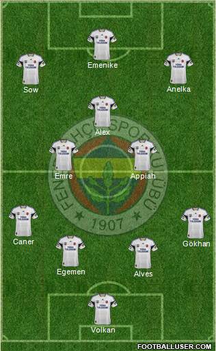 Fenerbahçe SK Formation 2014