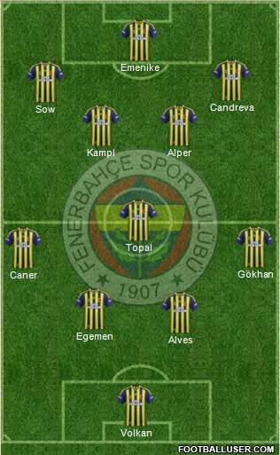 Fenerbahçe SK Formation 2014