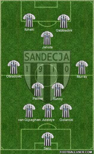 Sandecja Nowy Sacz Formation 2014