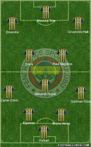 Fenerbahçe SK Formation 2014