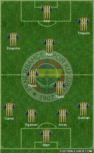 Fenerbahçe SK Formation 2014