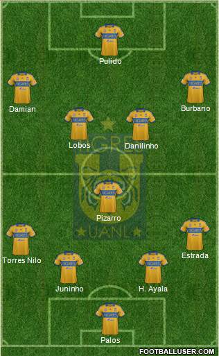 Club Universitario de Nuevo León Formation 2014