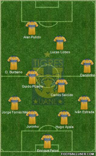 Club Universitario de Nuevo León Formation 2014