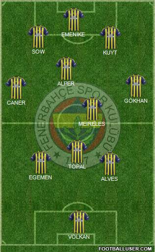 Fenerbahçe SK Formation 2014