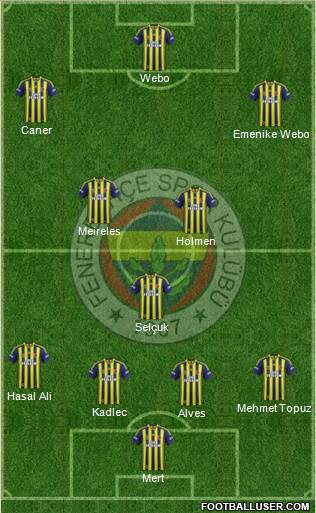Fenerbahçe SK Formation 2014