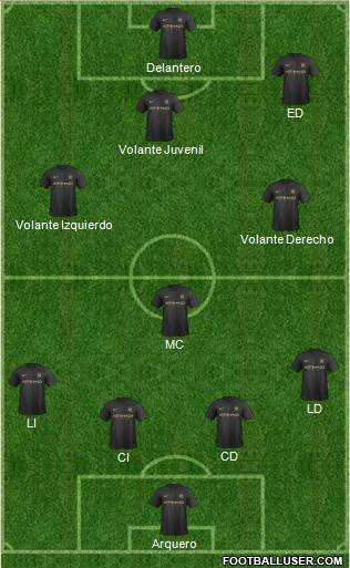 Manchester City Formation 2014