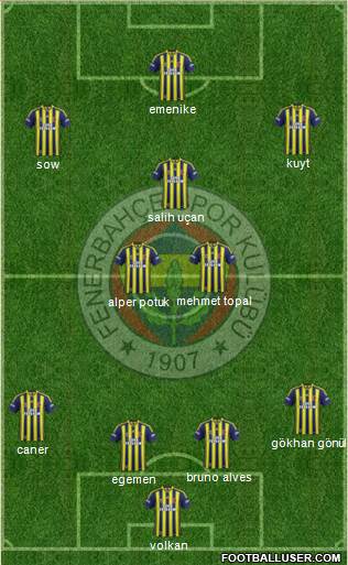 Fenerbahçe SK Formation 2014