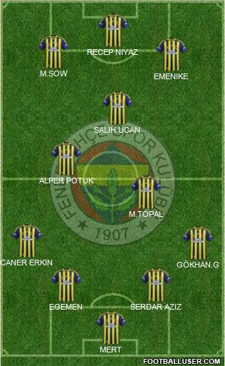Fenerbahçe SK Formation 2014