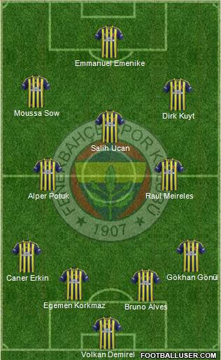 Fenerbahçe SK Formation 2014