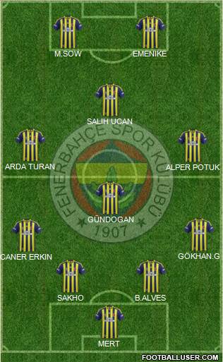 Fenerbahçe SK Formation 2014