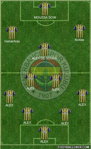 Fenerbahçe SK Formation 2014
