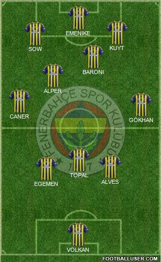 Fenerbahçe SK Formation 2014
