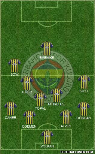 Fenerbahçe SK Formation 2014