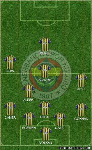 Fenerbahçe SK Formation 2014