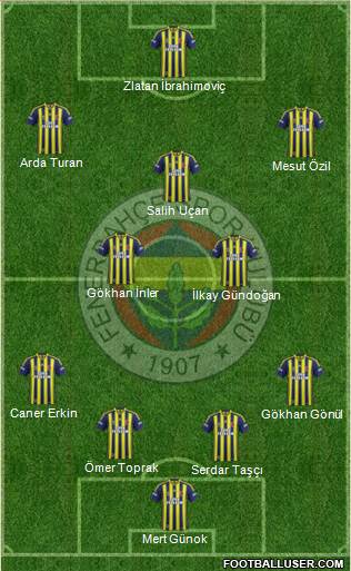 Fenerbahçe SK Formation 2014