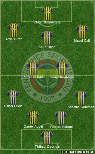 Fenerbahçe SK Formation 2014