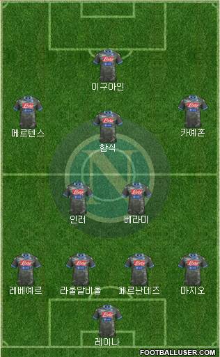 Napoli Formation 2014