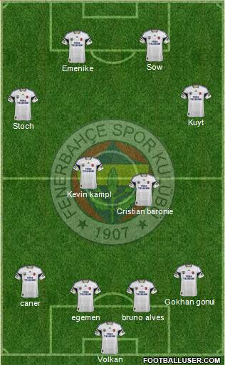Fenerbahçe SK Formation 2014