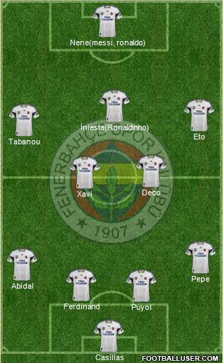 Fenerbahçe SK Formation 2014