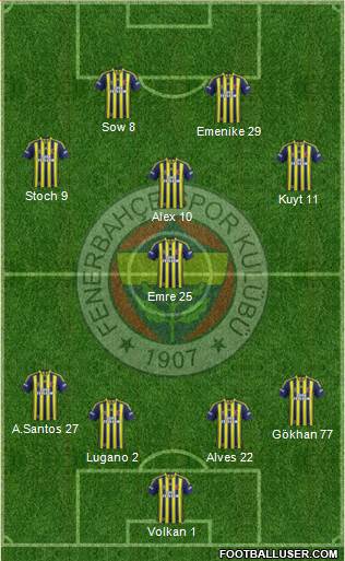 Fenerbahçe SK Formation 2014