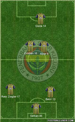 Fenerbahçe SK Formation 2014