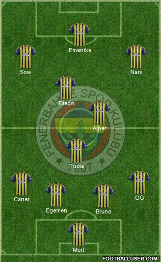 Fenerbahçe SK Formation 2014