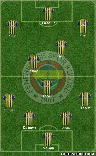 Fenerbahçe SK Formation 2014
