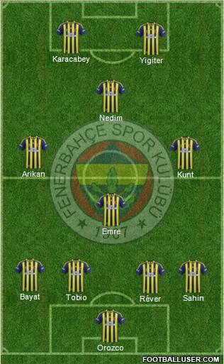 Fenerbahçe SK Formation 2014