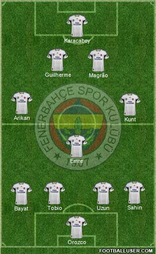 Fenerbahçe SK Formation 2014
