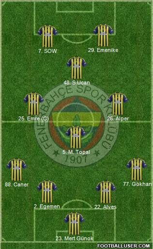 Fenerbahçe SK Formation 2014
