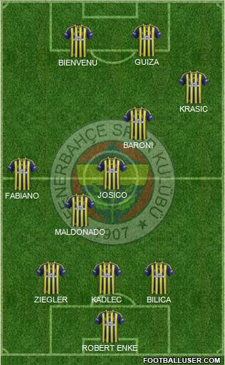 Fenerbahçe SK Formation 2014