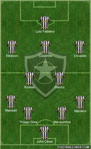 Botafogo FR Formation 2014