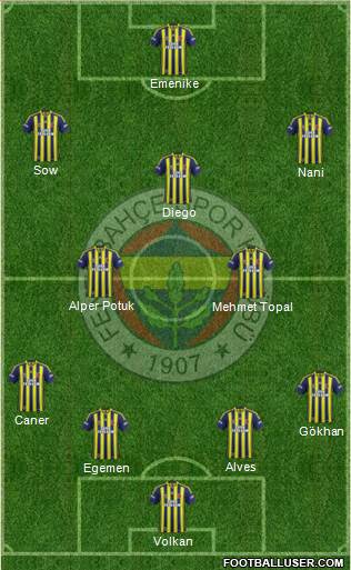 Fenerbahçe SK Formation 2014