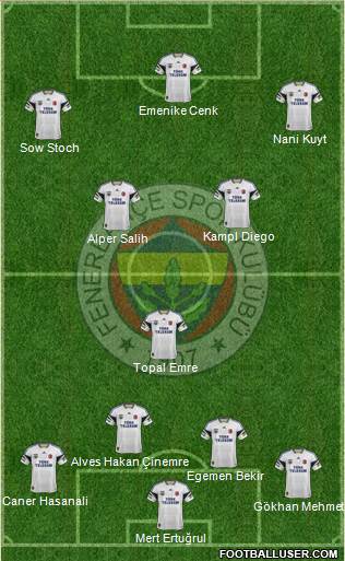 Fenerbahçe SK Formation 2014