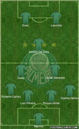 SE Palmeiras Formation 2014