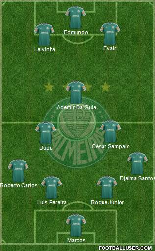 SE Palmeiras Formation 2014