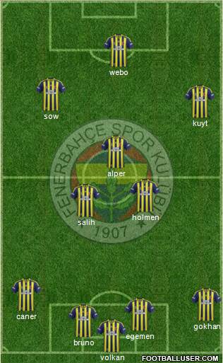 Fenerbahçe SK Formation 2014