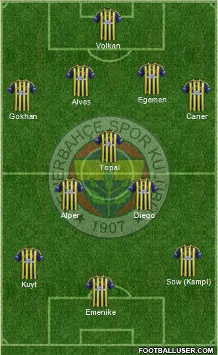 Fenerbahçe SK Formation 2014
