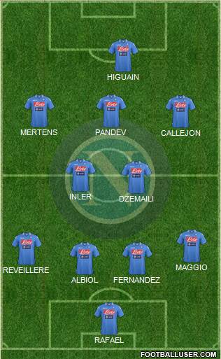 Napoli Formation 2014