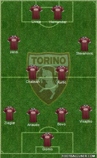 Torino Formation 2014