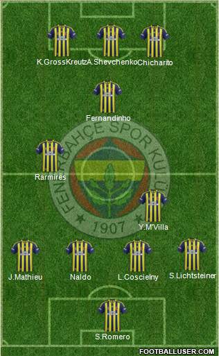 Fenerbahçe SK Formation 2014