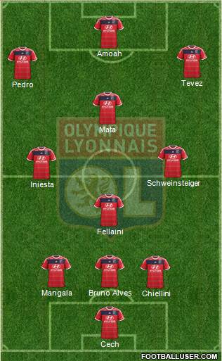 Olympique Lyonnais Formation 2014