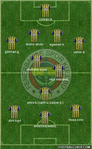 Fenerbahçe SK Formation 2014