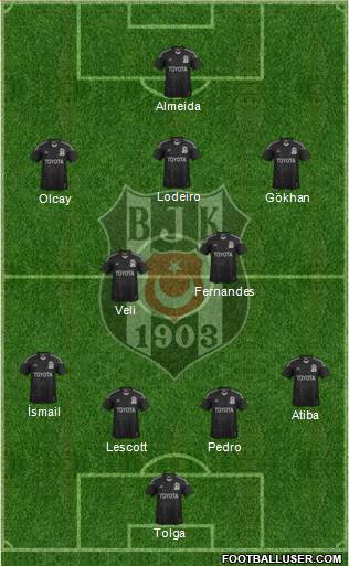 Besiktas JK Formation 2014