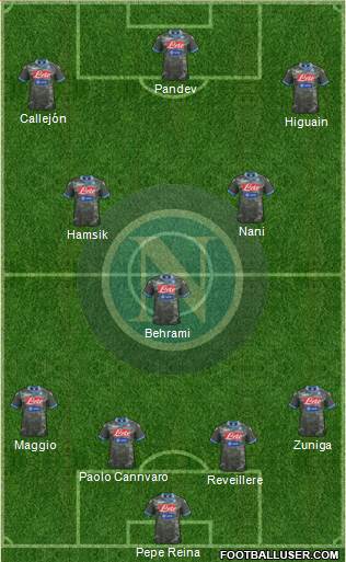 Napoli Formation 2014