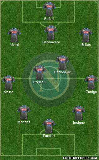 Napoli Formation 2014