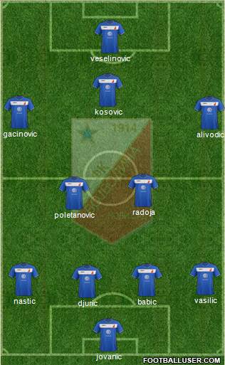FK Vojvodina Novi Sad Formation 2014