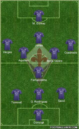 Fiorentina Formation 2014