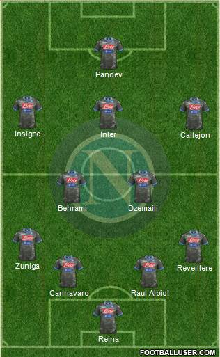 Napoli Formation 2014