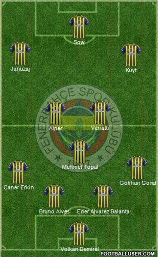 Fenerbahçe SK Formation 2014
